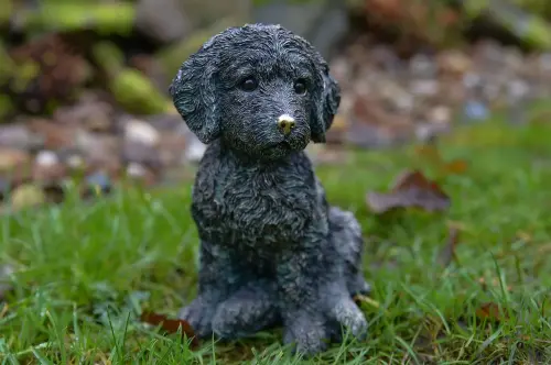 Artikelbild des Artikels “Cockapoo – Bronzeoptik, ca. 19 cm “